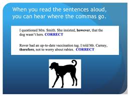 Our editor explores the two main functions of this word and reviews the various sentence positions and punctuation for each function. Using However Therefore And Nevertheless Correctly In Criminal Just