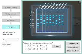 Traits are determined by the sequence of the four nitrogenous bases in the dna molecule: Dna Profiling Gizmo Lesson Info Explorelearning