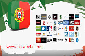 Url perfect player gratis 2021 : Pin On Alfa Iptv