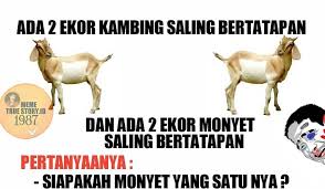 Monyet coklat, monyet, wajah, bayi, berbohong, wallpaper hd. Download Gambar Monyet Galau Joestrncelebes1987 Download Instagram Hashtag Photos And Wallpaper Bergerak Monyet Ketawa Gif Download S Gambar Meme Gambar Lucu