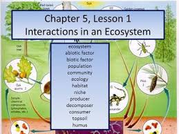 Biotic And Abiotic Factors In An Ecosystem Slideshare Chapter 5 Lesson 1 Interactions In An Ecosystem Ecosystems Abiotic Living And Nonliving