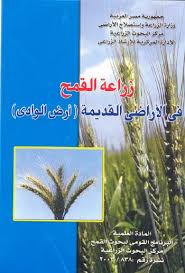 جمهورية مصر العربية
