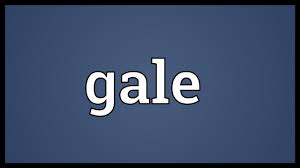 The meaning of gale in various phrases and sentences. Gale Meaning Youtube
