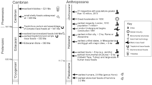 history and development of the anthropocene as a