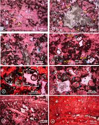 Check all details of indian air force airmen 2021 for 01/2022 batch selection group x and y through this page. Fluid Flow And Late Diagenesis Of Fault Infill Carbonates In The Aptian Dolostones At Jabel Semmama Kasserine Area Western Central Tunisia Sciencedirect