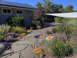 Jul 23, 2021 · california: Lawn Replaced With California Natives And Low Care Plants Dig Your Garden Landscape Design