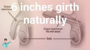 Add Girth Exercise - Youtube