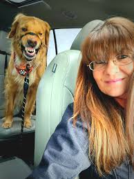 The chance of being mauled by a Golden Retriever are low. But not zero %! 😅