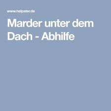 Marder Unter Dem Dach Abhilfe Marder Vertreiben Marder Marder Im Dach