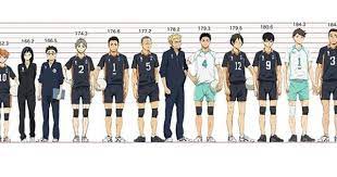 Haikyuu characters before and after timeskip comparison. Height Comparison Haruichi Furudate Haikyuu Shiratorizawa