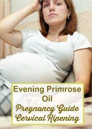 Pin On Pregnancy D
