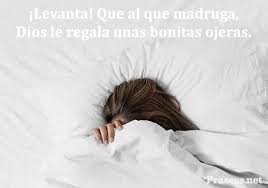 60 Frases De Buenos Dias Graciosas Para Whatsapp