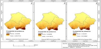 Image result for Hyparrhenia barteri