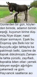 Gunlerden Bir Gun In 2020 Animals Dogs