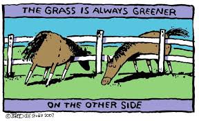 The Grass Is Always Greener On The Other Side Cartoon The Grass Is Greener Funny Horses Horse Jokes Horse Cartoon