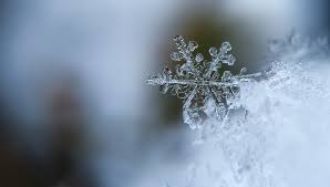Wie war das die letzten jahre ? Warum Schneit Es Im Winter Einfach Erklart