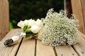 Baby Breath Bouquet Price Off 79 Buy