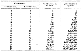 Number Of Possible Combinations In Orgnaisms With 1 To 19