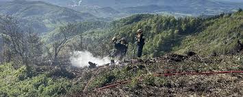 Waldbrand breitet sich weiter aus