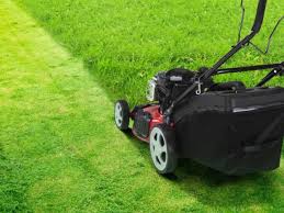 Maybe you would like to learn more about one of these? To Mulch Or Not To Mulch That Is The Question
