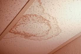 Maybe you would like to learn more about one of these? If You Smell This In Your Home You Might Have Termites Experts Say