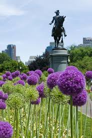 A Favorite View Boston Public Garden Boston Vacation Public Garden