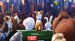 Bersihkan hewan peliharaan dan lingkungan sekitarnya. The Secret Life Of Pets Kisah Seru Kawanan Hewan Peliharaan