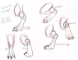 Animal Legs Tutorial Google Search Animal Drawings Furry Drawing Dragon Drawing