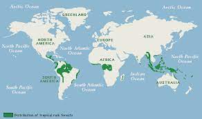 The tropic of cancer and the tropic of capricorn respectively. Rain Forests Needed By Humans And Animals To Survive Rainforest Map Rainforest Activities Rainforest