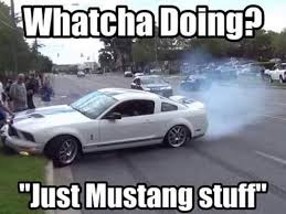 15 Top Mustang Meme Pictures And Funny Images Quotesbae