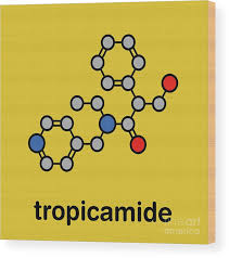 Image result for Mydriatic