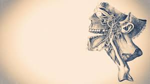 Anatomy Wallpapers Wallpaper Cave