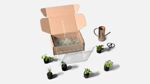 Maybe you would like to learn more about one of these? Review Lettuce Grow S Farmstand Indoor Vegetable Garden Has Changed T