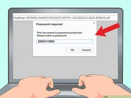 It's very simple when the software prompts you to enter the password for aadhar pdf, the password which you should pass is the first four letters of the name in . Aadhar Card For Nri