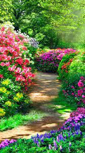 Galeria Good Vibes Beautiful Gardens Most Beautiful Gardens Beautiful Landscape Wallpaper