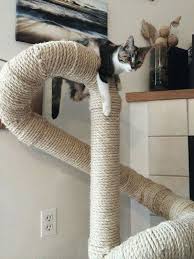 47 Brilliant Easy Homemade Diy Cat Toys For Your Furry Friend Diy Cat Toys Cat Diy Diy Cat Tree