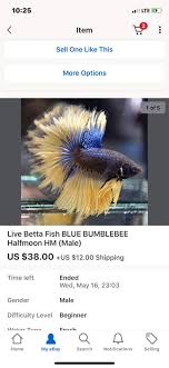 I really love how interactive they are.let me know if you have any questions. So My Fish Comes In Today Buttt Betta Keepers Amino