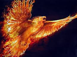 Phoenix Birds Fire Wallpaper Phoenix Wallpaper Phoenix Bird Eagle Wallpaper