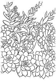 It's a black and white image, so it doesn't need to be a color. Butterfly Mandala Colouring In Novocom Top