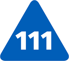 111 is r3 or the second repunit, a number like 11, 111, or 1111 that consists of repeated units, or 1's. Nhs 111 Wikipedia