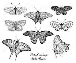 All butterfly tattoos whisper with symbolism as well, so […] these designs are varied in style but will impress everyone. Illustration Vector Insects Set Butterfly Hand Drawn Artistic Black White Realistic Ink Drawing Hatching Stylish Vintage Decorative Refine Nature Royalty Free Cliparts Vectors And Stock Illustration Image 121989394