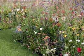16 Pretty Flower Garden Borders For Summer Summer Flowers Garden Flower Garden Borders Wildflower Garden