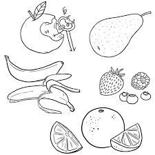 fruits dessin a colorier coloriage printable pdf jeu imprimer illustration de julien castanie art design reference good company animalier niveau 1