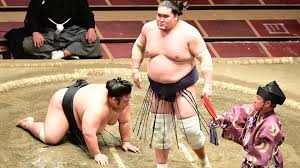 平成三十年五月場所 東十両八枚目 照ノ富士 春雄 0勝9敗6休. å„ªå‹ã¯ã‚„ã¯ã‚Šç…§ãƒŽå¯Œå£«ã—ã‹ã„ãªã‹ã£ãŸ å¤å ´æ‰€ã«å…‰ã‚'ã‚‚ãŸã‚‰ã—ãŸåŠ›å£«ãŸã¡ã®å¥®é—˜ é£¯å¡šã•ã å€‹äºº Yahoo ãƒ‹ãƒ¥ãƒ¼ã‚¹