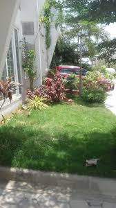Pin By Hema Gopaluni On Our Villa Garden Plants Villa