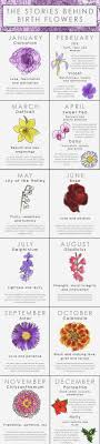 From daffodils to daisies, every month has a flower and every flower has a meaning. Birth Flower Chart Find Out The Meaning For Your Life The Whoot