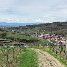 Die 10 Besten Restaurants In Vogtsburg Im Kaiserstuhl 2021 Mit Bildern Tripadvisor