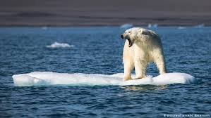 Cuanto Nos Queda Para Salvar El Planeta Ciencia Y Ecologia Dw 03 08 2019