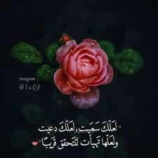 سبحان الله وبحمده y2qb instagram photos and videos instagram instagram photo photo and video