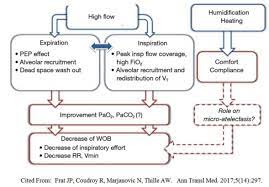High flow nasal cannula • patients who require a higher dose of supplemental oxygen but can't tolerate a mask or when a mask impairs a patient's ability to eat, Clinical Application Of High Flow Nasal Cannula Oxygen Therapy In Acute Heart Failure